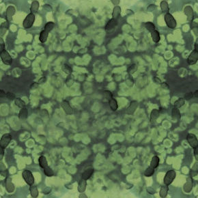 Picture for category BACTERIA